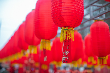 1644920489766541.jpg AQ6I6789.jpg