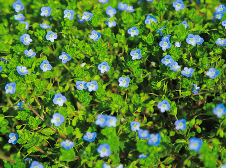 1649400078437867.jpg 微信圖片_20220407151527.jpg