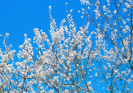 1649400085903914.jpg 微信圖片_20220407151558.jpg